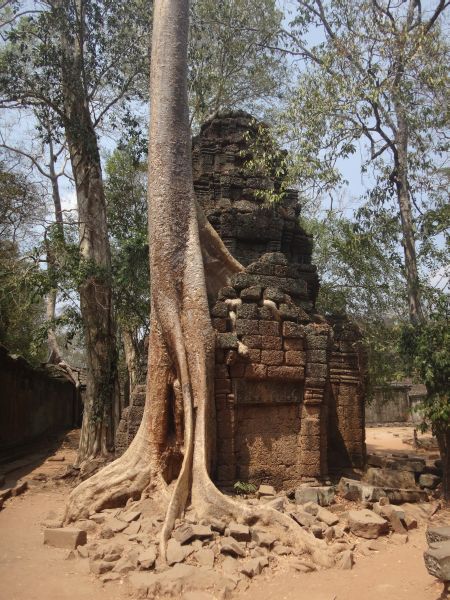 bekannt aus Tomb Raider - Angkor Thom 